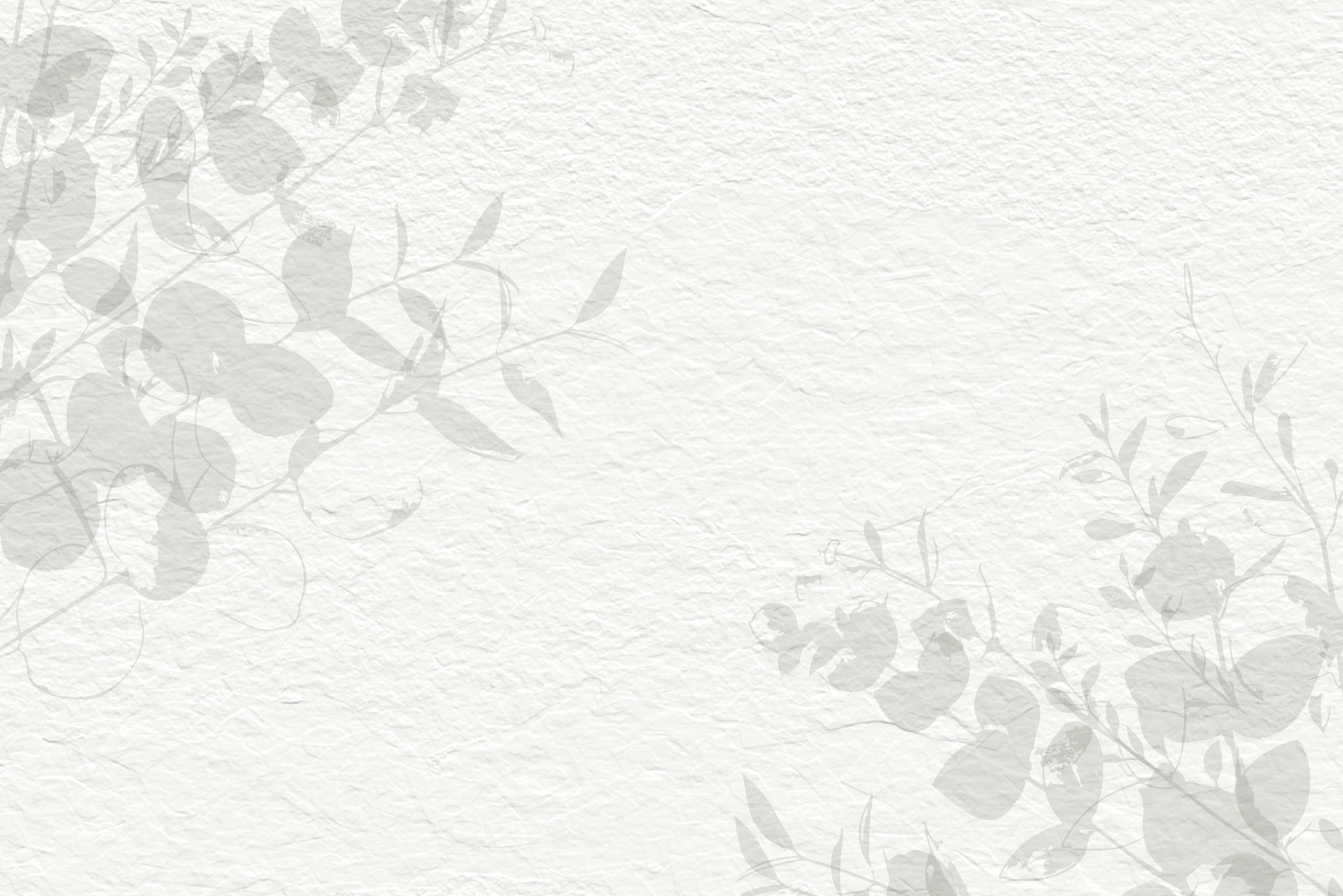 Eucalyptus paper texture background